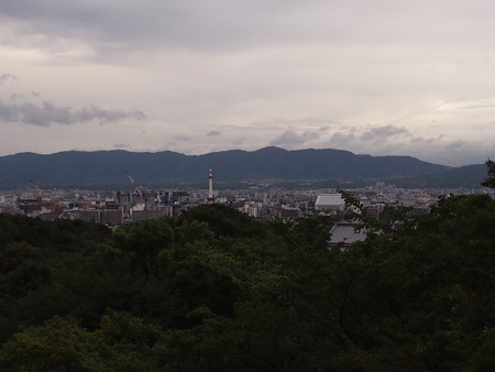 P8040207