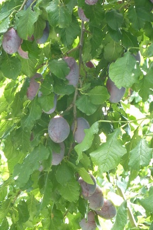 P1080157