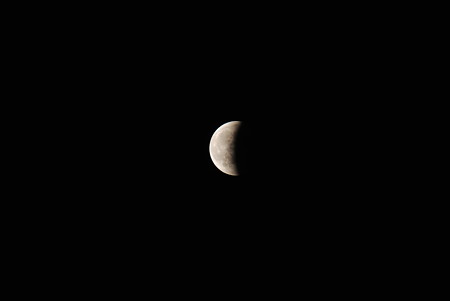 DSC_0478