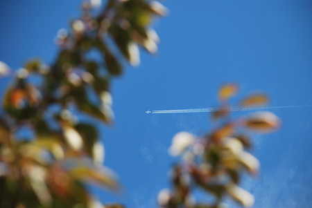DSC_0045