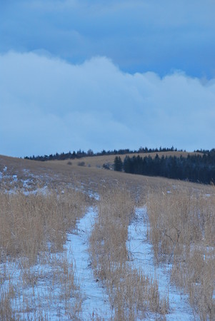 DSC_0610