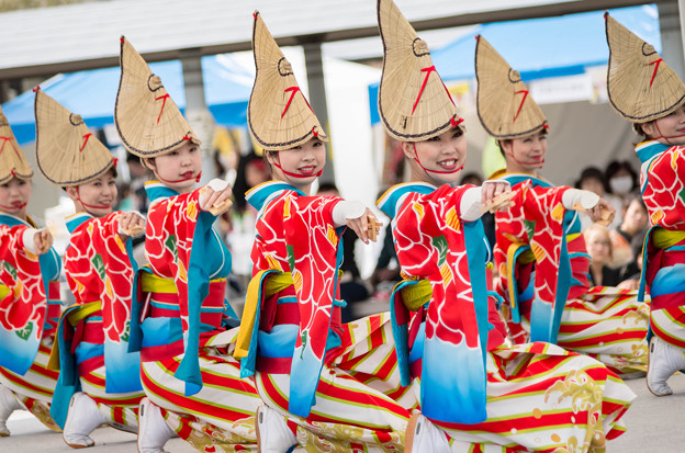 京都さくらよさこい2016 いなん