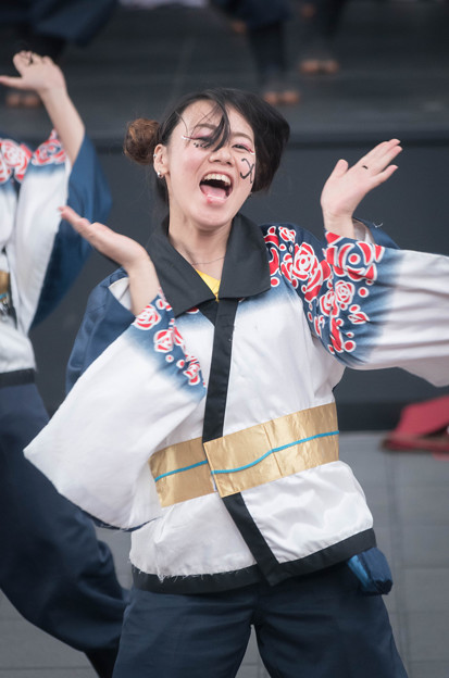 京都さくらよさこい2016 神戸大学よさこいチーム山美鼓
