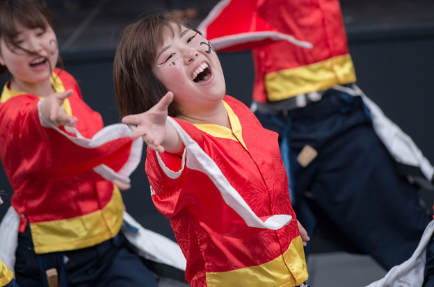 京都さくらよさこい2016 神戸大学よさこいチーム山美鼓
