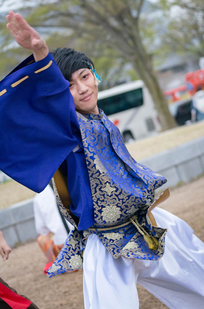 京都さくらよさこい2016 よさこいチーム「庵」