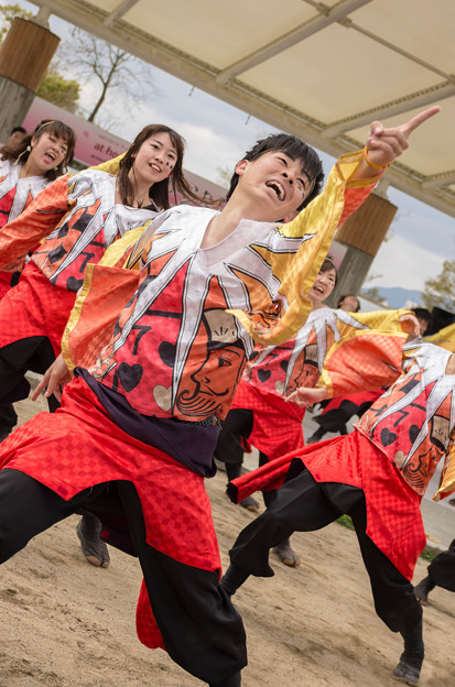 京都さくらよさこい2016 和歌山大学よさこいサークル「和歌乱」