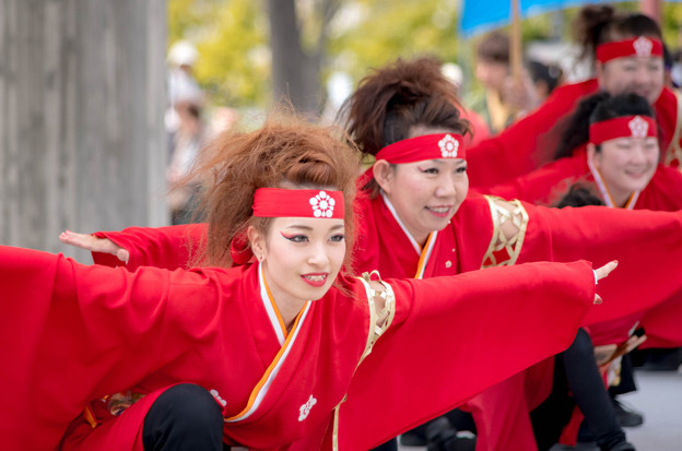 京都さくらよさこい2016 金澤こまち