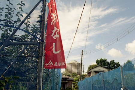 平戸散策 06