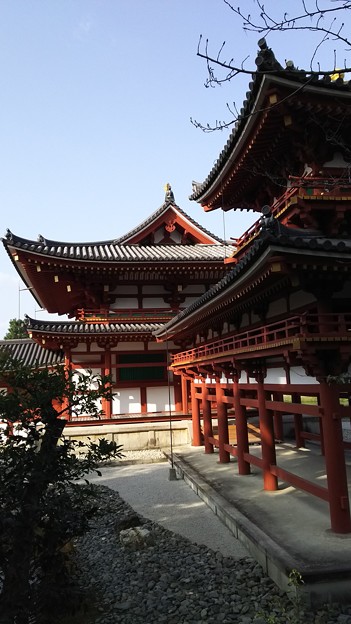 写真: 8