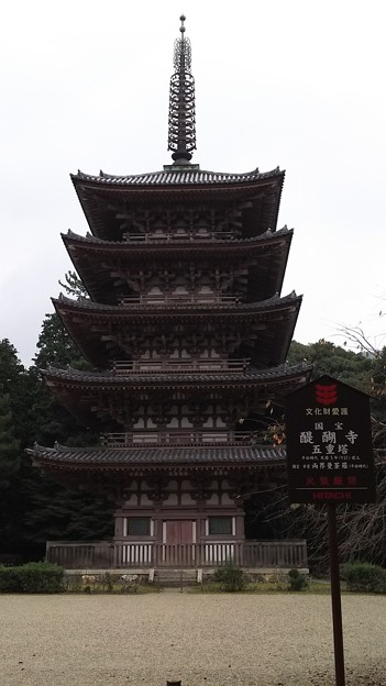 写真: 12