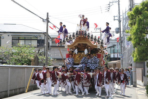 Photos: 神戸・東灘区　だんじり祭り（１）