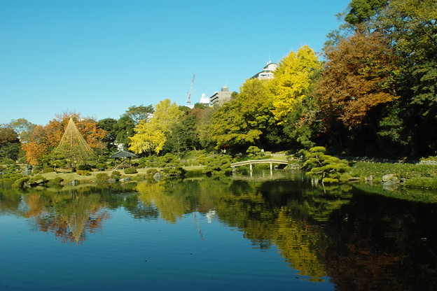 065SD14_2111 清澄庭園の紅葉