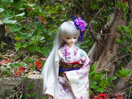 2016お花見