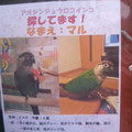 Photos: #今の人にはわからないだ...