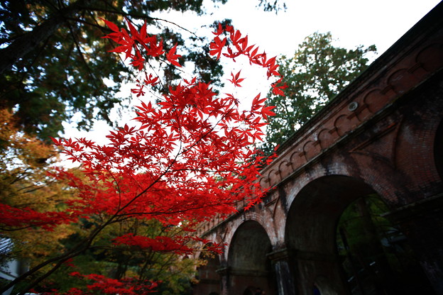 Photos: 『南禅寺　秋景。。。』