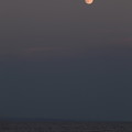 Photos: 名月昇る