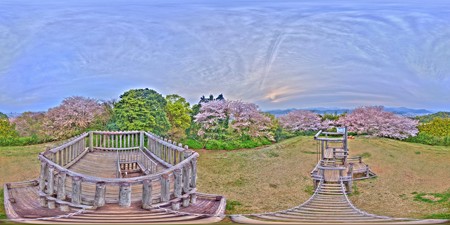 2016年4月9日　谷津山　桜　360度パノラマ写真(3) HDR