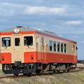 いすみ鉄道 普通列車 67D キハ20 1303