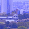 卯辰山　見晴らし台から　金沢城と桜並木