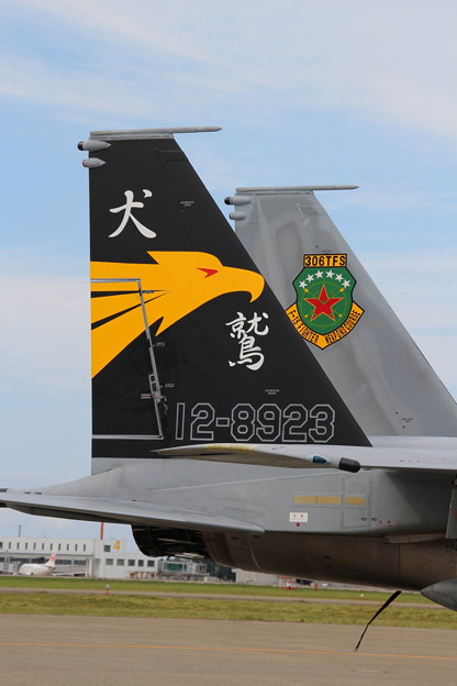 小松基地航空祭 45 第306飛行隊 記念塗装機