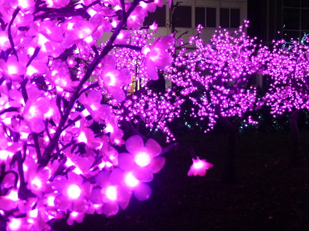 各エリアを約140万球の電球で装飾@広島ドリミネーション